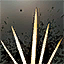 status icon